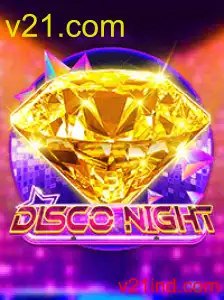 DiscoNight